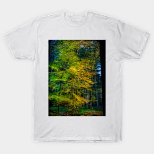 Autumnal Woodland T-Shirt